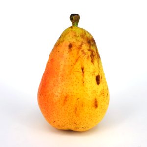 Pera limonera 2017 A1