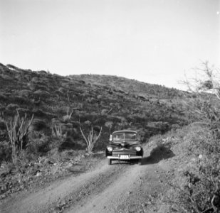 Per auto door de Yamanota, Aruba's hoogste berggroep, Bestanddeelnr 252-7975