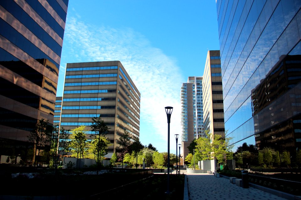 Pentagon City offices, April 2019