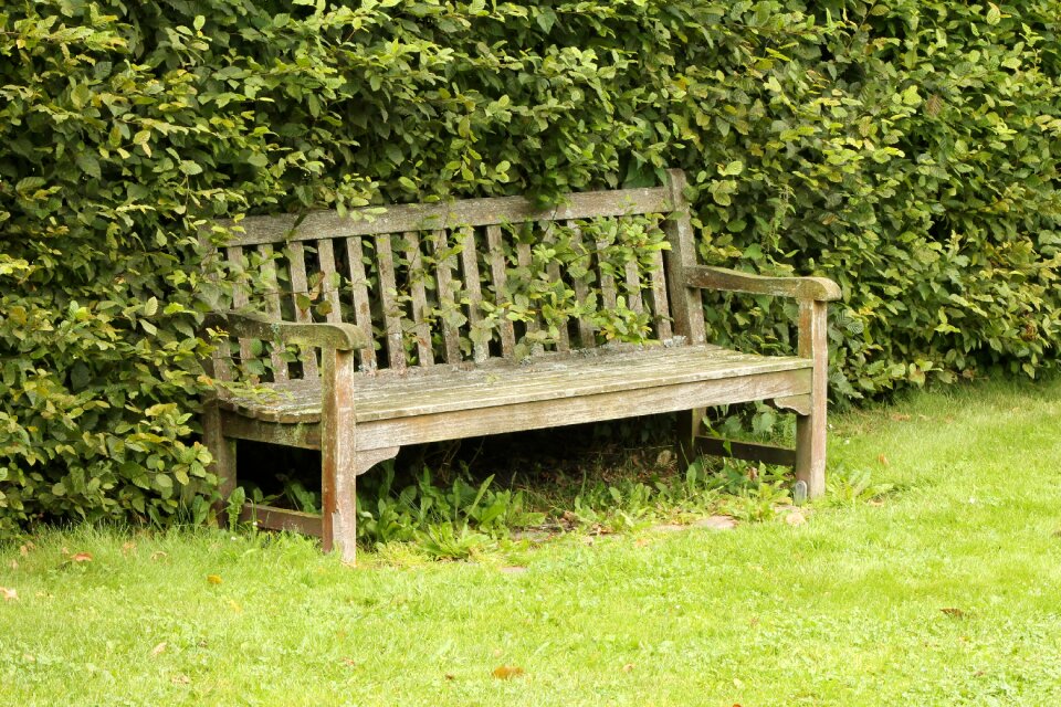 Outdoor summer peaceful