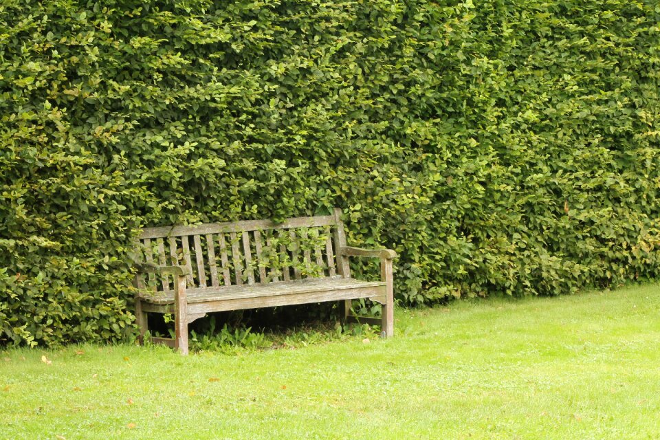 Summer peaceful green peace