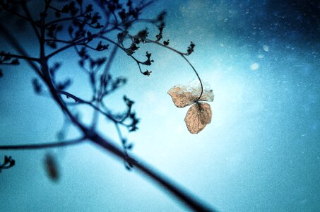 Harsh nature cold