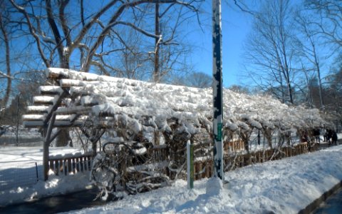 Pergola W7221 CP snow Feb 2013 jeh