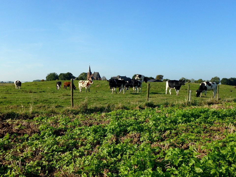 Persingen rijksmonument 46053, archeologisch terrein, kasteel