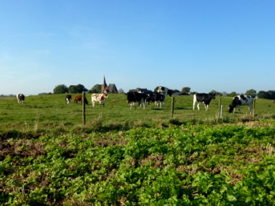 Persingen rijksmonument 46053, archeologisch terrein, kasteel