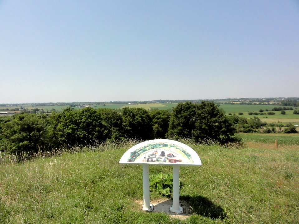 Peray (Sarthe) la butte, motte castrale (03)