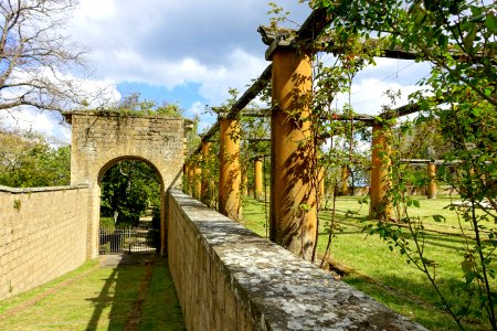 Pergola - Villa Farnese - Caprarola, Italy - DSC02245