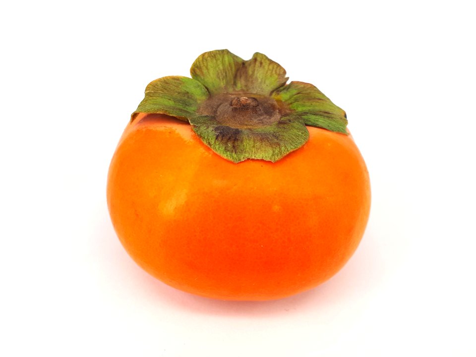 Persimmon 2017 B2