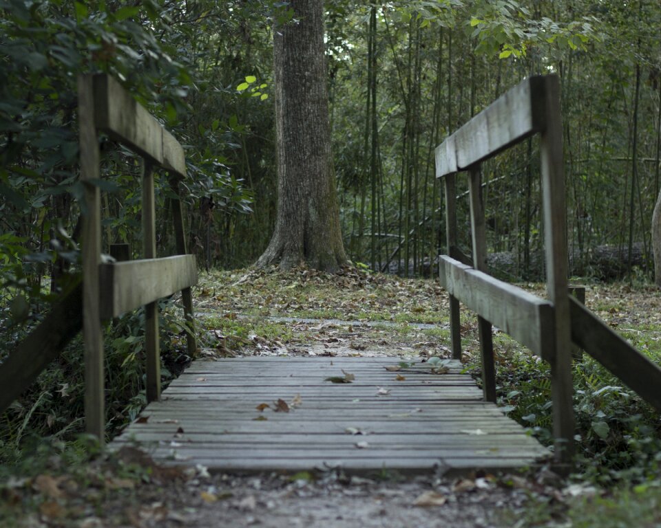 Dark green dark green bridge