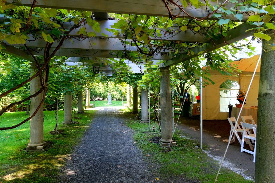Pergola - Tanglewood - DSC05741