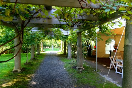 Pergola - Tanglewood - DSC05741