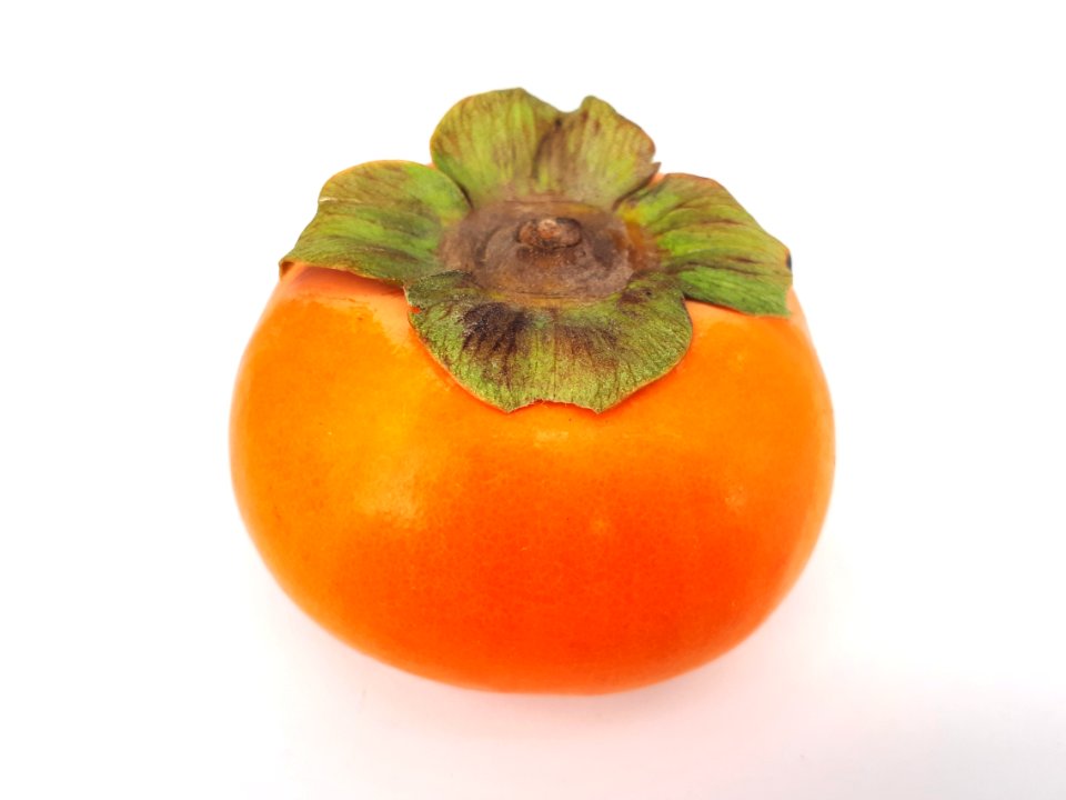 Persimmon 2017 B4