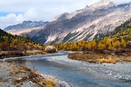 Fall color golden autumn engadin photo