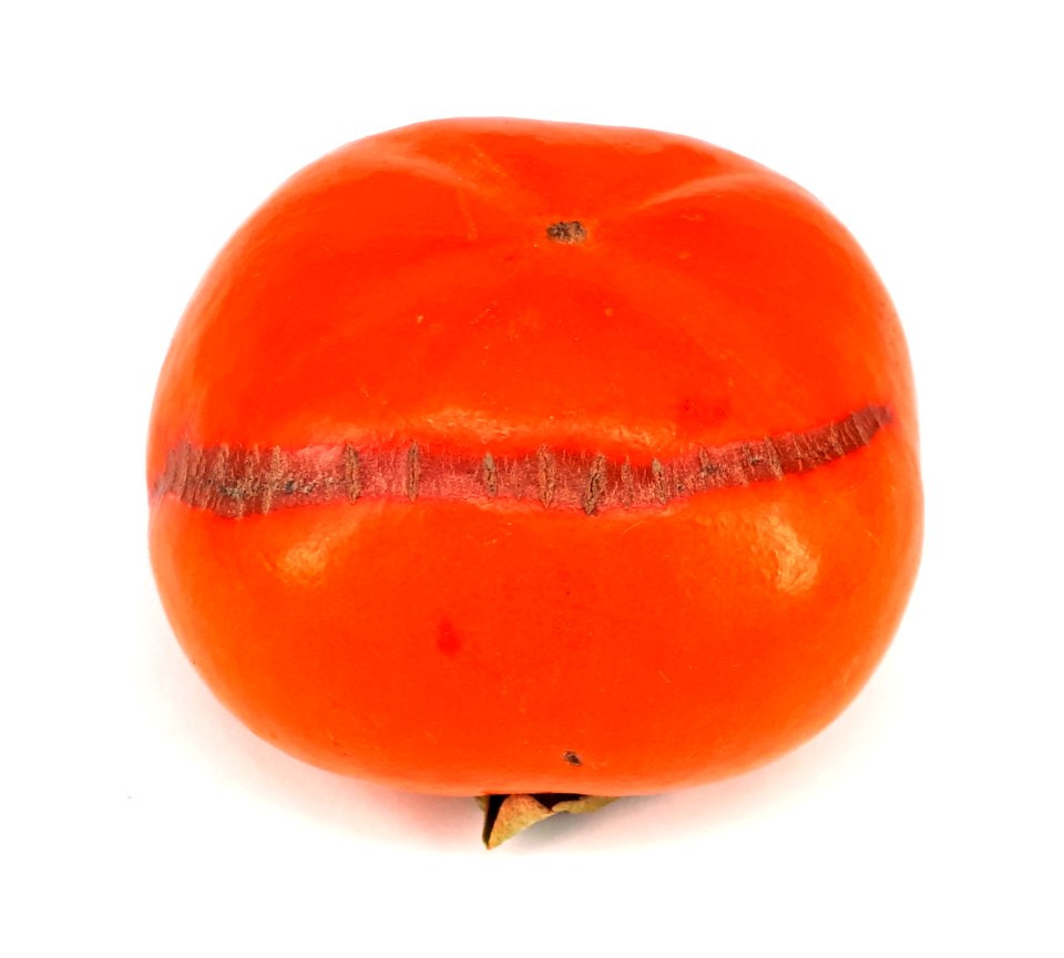 Persimmon scab 2017 A