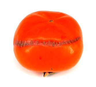 Persimmon scab 2017 A