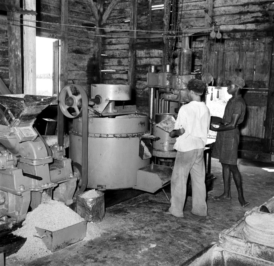 Persmachines voor het kiemwit van de kokos in de het bedrif Leasowes in Coronie, Bestanddeelnr 252-5703