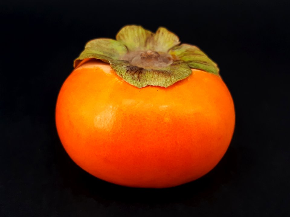 Persimmon 2017 B5