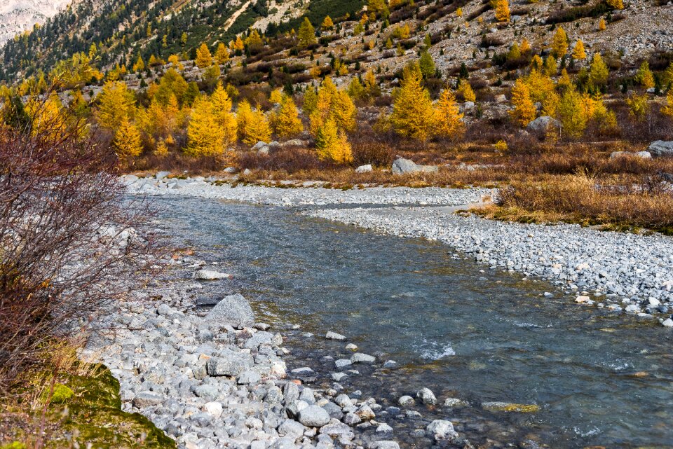 Fall color golden autumn engadin