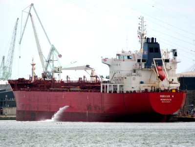 Perseus N - IMO 9425497, Port of Antwerp