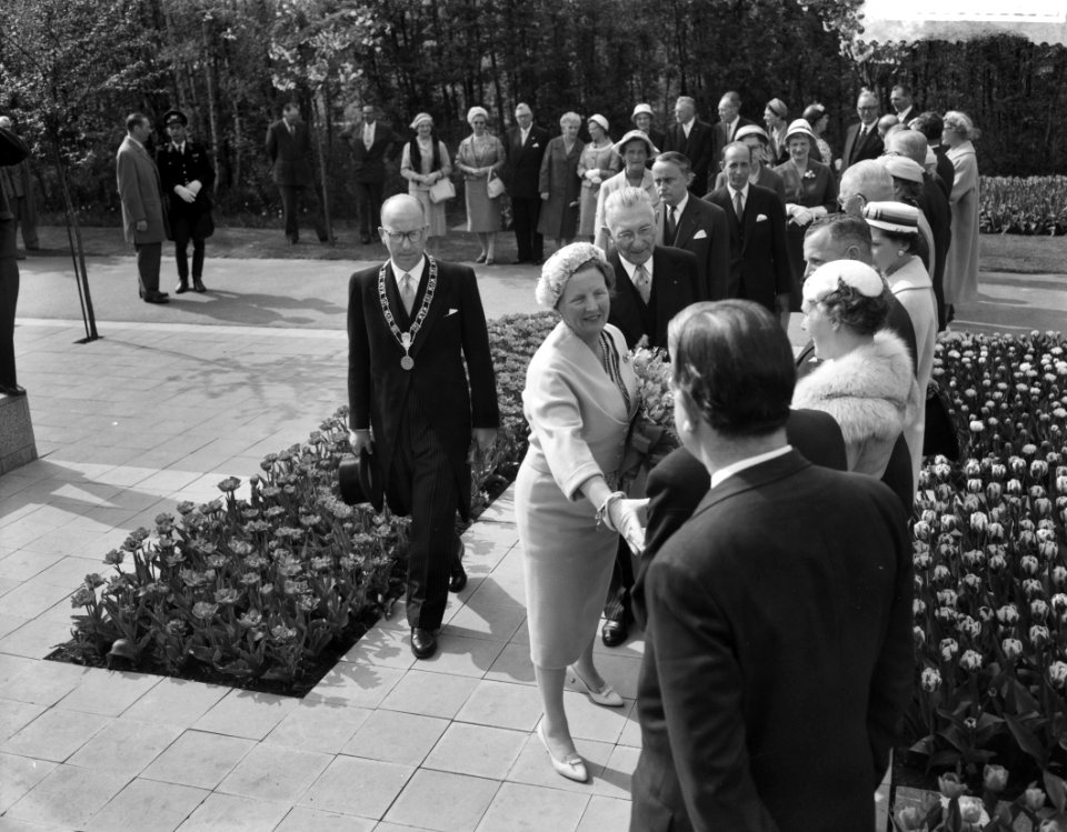 Personen worden voorgesteld aan koningin Juliana, Bestanddeelnr 910-3185