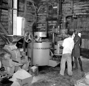 Persmachines voor het kiemwit van de kokos in het kokosverwerkingsbedrijf Leasow, Bestanddeelnr 252-5705