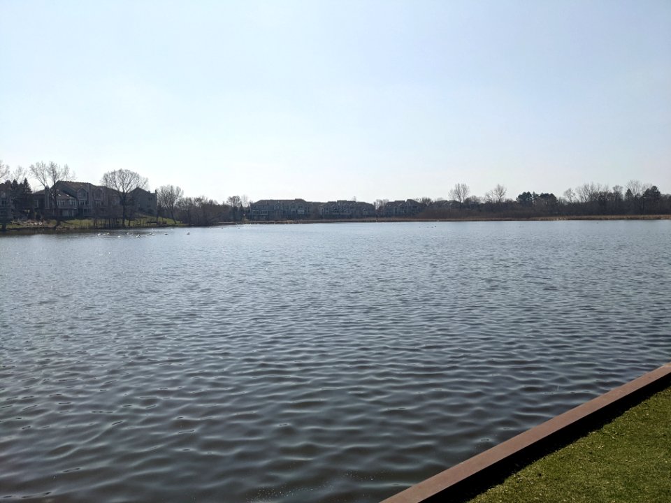 Peregrine Lake in Palatine, Illinois