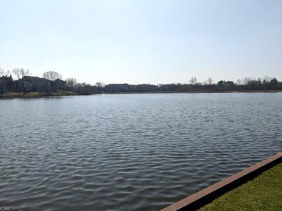 Peregrine Lake in Palatine, Illinois