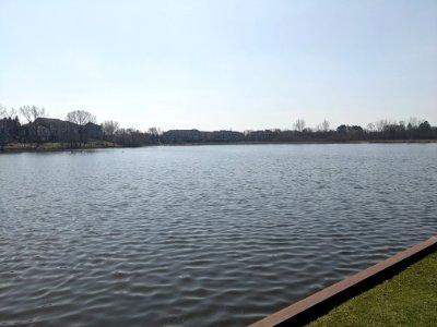 Peregrine Lake in Palatine, Illinois photo