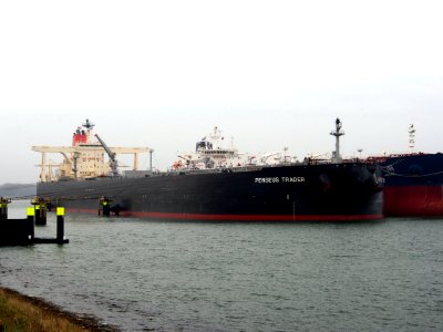 Perseus Trader, IMO 9251597, pic4