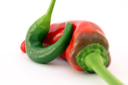 Catering cellulite chilli