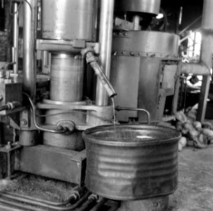 Persmachines voor het kiemwit van de kokos in het kokosverwerkingsbedrijf Leasow, Bestanddeelnr 252-5704