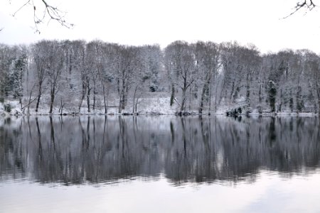 Pfaueninsel from Düppeler Forst with snow 2021-01-30 03