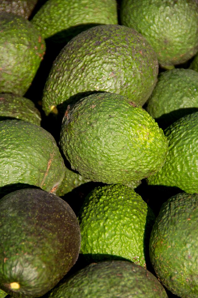 Food harvest green