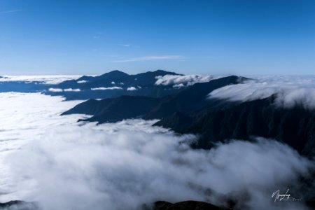 Phu Luong (241664985)