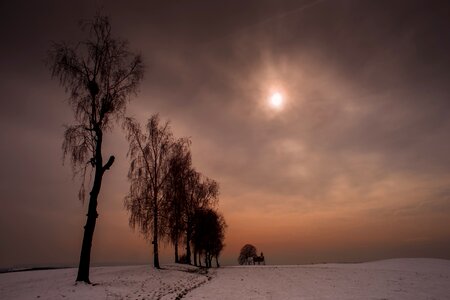 Wintry snow cold photo