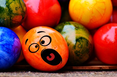 Funny colorful happy easter photo