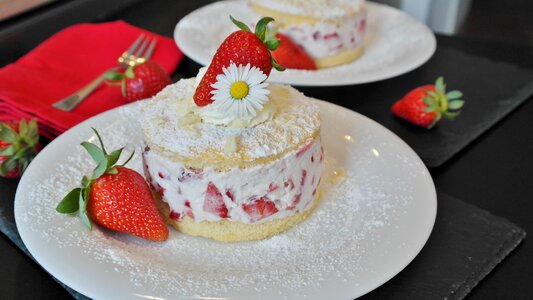 Bisquit dessert cream