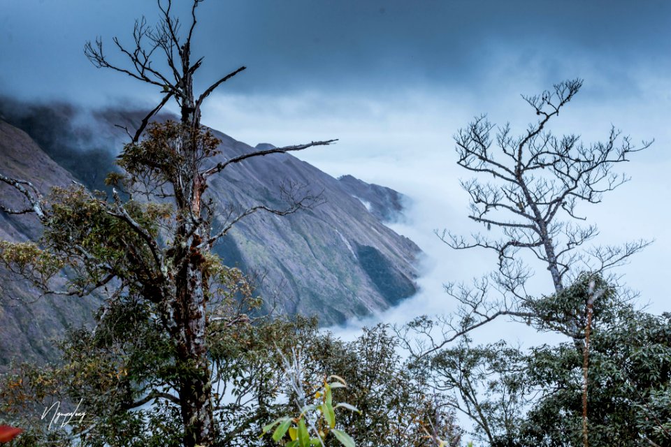 Phu Song Soung (241143933)