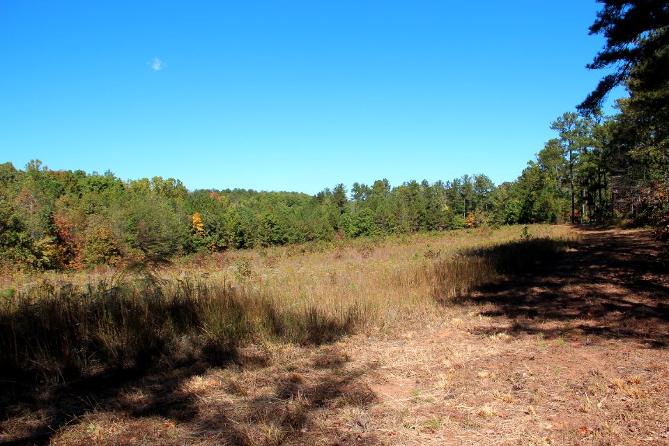 Pickett's Mill open field, October 2016