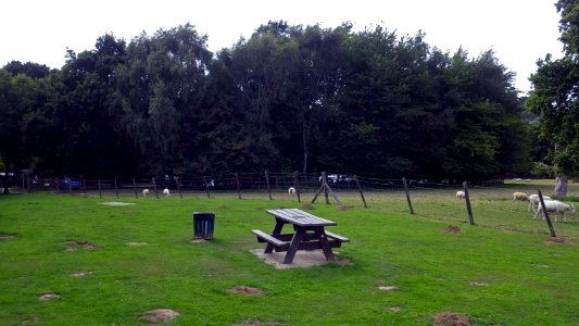 Picnic Area, Broad Oak Park, Bexhill