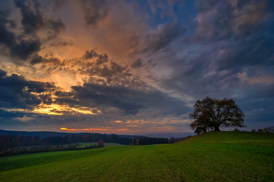 Silhouette evening mood photo