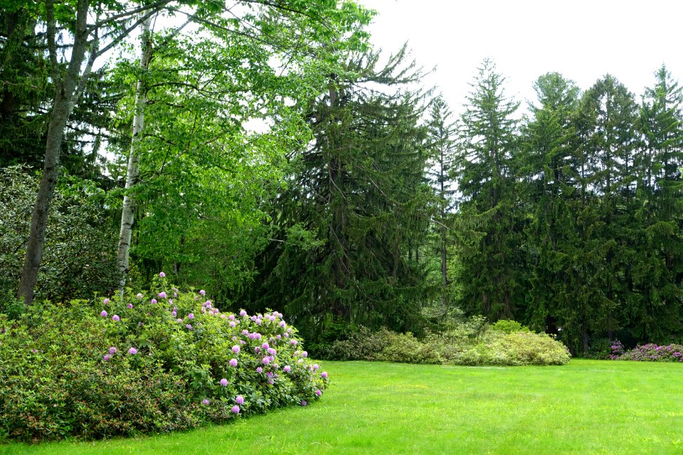 Pierce Meadow - Doyle Community Park & Center - Leominster, Massachusetts - DSC06276