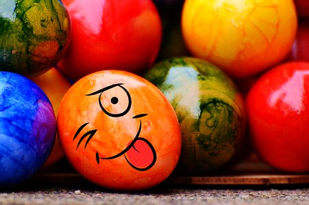 Funny colorful happy easter photo