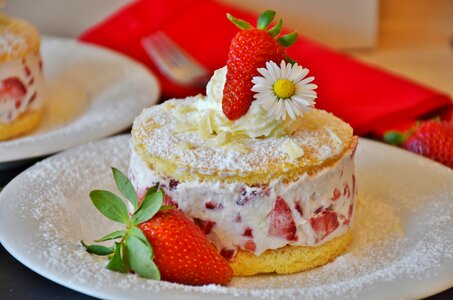 Bisquit dessert cream