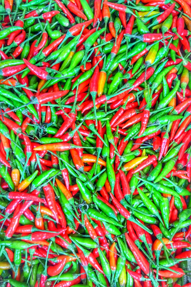 Food cooking organic