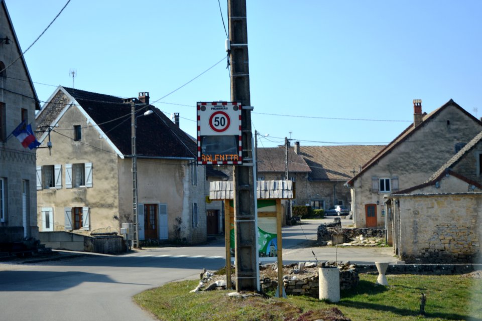 Picarreau 2. Spielvogel