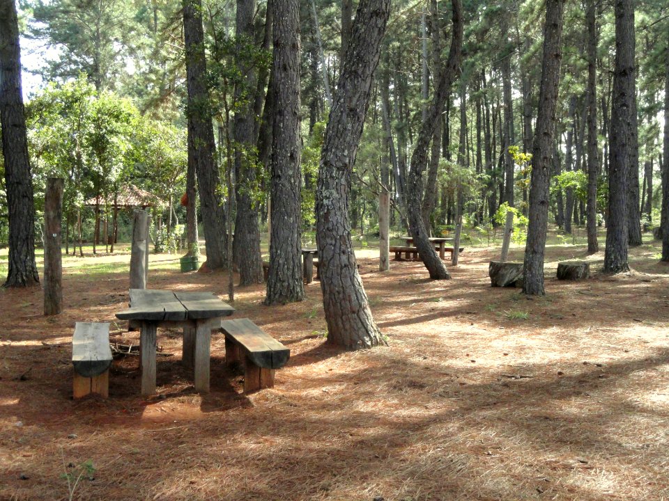 Picnic area - Jardim Botânico de Brasília - DSC09613