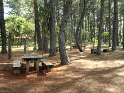 Picnic area - Jardim Botânico de Brasília - DSC09613