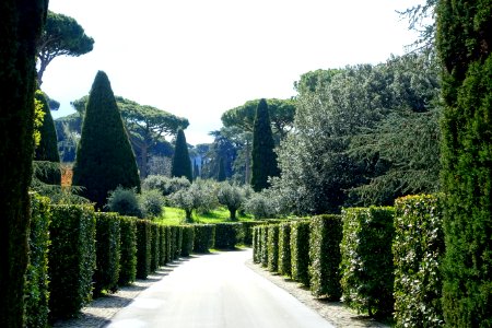 Piazzale Quadrato - Barberini Gardens - Castel Gandolfo - DSC04397