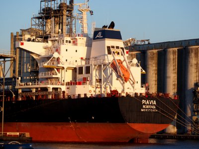 Piavia (ship, 2011) IMO 9570864 Port of Amsterdam pic1